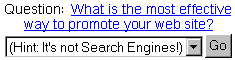 Internet Marketing Challenge - Website promotion